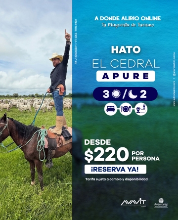 A DONDE ALIRIO A DONDE ALIRIO