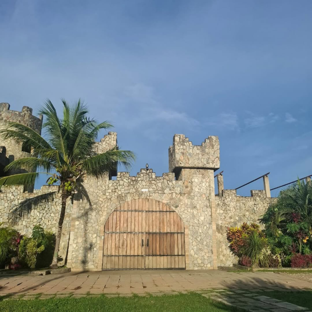 Hotel Castillo Alejandria