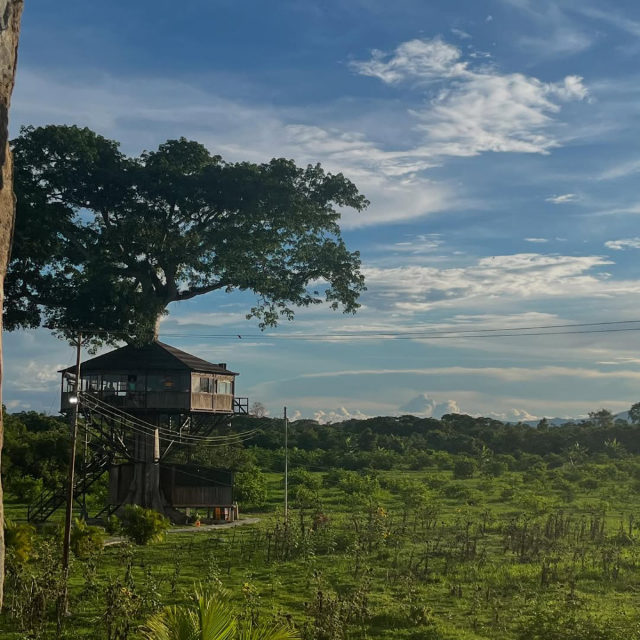 Hotel Castillo Alejandria