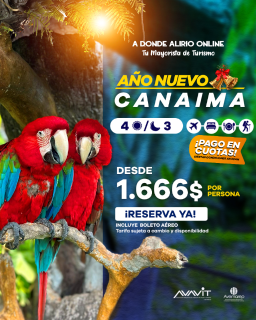 Promoción a Canaima en Navidad